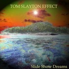 Picture for song 'Three Skull Fire' by artist 'Tom Slayton Effect'