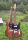 Picture for song 'telesitar demo' by artist 'Tom Tracy'