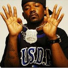 Picture for song 'Slick Pulla GhostFace Killa Jadakiss type' by artist 'Travlife Music Group'