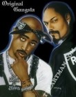 Picture for song 'Real O.G.' by artist 'Trigga Tae Produktionz'