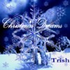Picture for song 'All I want for Christmas is You' by artist 'Trish (US)'