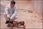 Picture for song 'Suicide Bomber' by artist 'TTM'