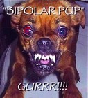 Picture for song '"Bi-Polar Pup"' by artist 'Turquoise Rose'
