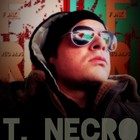 Picture for song 'Fading Away' by artist 'Turtle Necromancer'