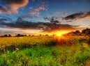 Picture for song 'The day(Hip Hop)(Free Download)' by artist 'Urban Beatz Online'