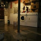 Picture for song 'The Basement floor' by artist 'Guerilla Genus'