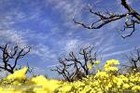 Picture for song 'Spring' by artist 'USB'