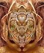 Picture for song 'Body and Soul (Remix)' by artist 'UV Catastrophe'