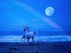 Picture for song 'Mustang II' by artist 'Vicente Munoz'