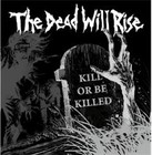 Picture for song 'Raise Again' by artist 'VictoryProduction.net'