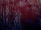 Picture for song 'The Dark Room' by artist 'Viscera Drip'