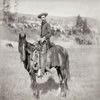Picture for song 'Hey Cowboy' by artist 'Vozes Partidas'