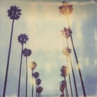 Picture for song 'TripleDiesel (FREEDL)' by artist 'Vybe Beatz'