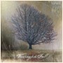 Picture for song 'The Lines You Draw' by artist 'Waiting for the Fall'