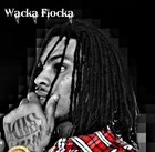 Picture for song 'wacka flocka beat' by artist 'We Go Hard Productionz'