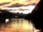 Picture for song 'Metal Beat 4' by artist 'Wello'