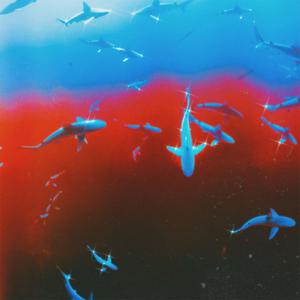 Picture for song 'GUNNA x YOUNG THUG TYPE BEAT - Adored' by artist 'WHAT?BOYBEATS'