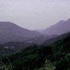 Picture for song 'in shadows' by artist 'Whispered Silent'
