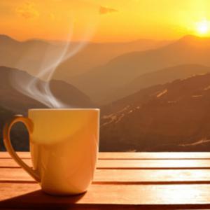 Picture for song 'Good Morning' by artist 'whtrwl'