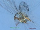 Picture for song 'Walking Hand in Hand' by artist 'wmmusic'