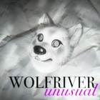 Picture for song 'Unusual' by artist 'Wolfriver'