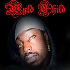 Picture for song 'I'm Back' by artist 'Wyld Xpense'