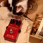 Picture for song 'D*A*M Red Rooster, London Fuzz & Hendrix' by artist 'Xander Farran'