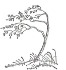 Picture for song 'gentle breeze (solo)' by artist 'xcmpx'