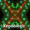 Picture for song '2 Far 2 Reach (Instrumental)' by artist 'Xenobiotic'