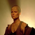 Picture for song 'One By One (A Song About Balding)' by artist 'Yohannisberg'