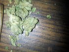Picture for song 'exotic N.G.M EUROGANG' by artist 'YOUNGUNNA Y2G'