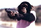 Picture for song 'Yall Dont Wanna f*** With Me' by artist 'You Want More?'