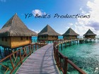 Picture for song 'Bay Area/ Dirty South' by artist 'YP Beatz Productions'