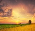 Picture for song 'So long the path (So wide the fields)' by artist 'Zlata Dzardanova'