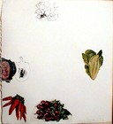Picture for song 'mary jane' by artist 'zoi'