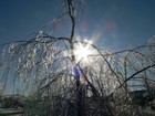 Picture for song 'Idea for a song?' by artist 'Zp4'