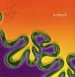 Picture for song 'Brondistan' by artist 'Zubzub'