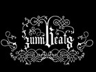 Picture for song 'ZumiBeats - BEAT 15 - 2006' by artist 'ZumiBeats'