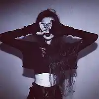 Picture for song 'Alixinstr Prod. - High Voice' by artist 'AlixInstr Productions.'