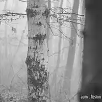 Picture for song 'overflow' by artist 'aum'