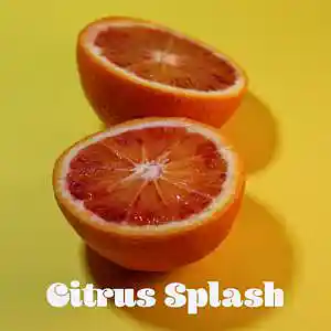 Picture for song 'Citrus Splash (Buy 1 Get 4 FREE)' by artist 'BDunnMusic'