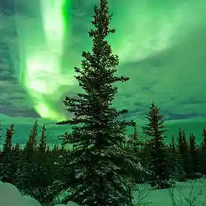 Picture for song 'Siberian Sleigh Ride - TSO Cover' by artist 'Brad Holmes'