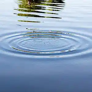 Picture for song 'Ripple Effect 2_Clint Lavens' by artist 'Clint Lavens'