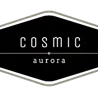 Picture for song 'will come' by artist 'cosmic aurora'