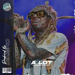Picture for song 'A Lot' by artist 'Dimsho Beats'