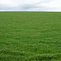 Picture for song 'Pawns' by artist 'Erik Smith'