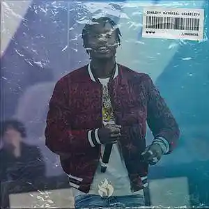 Picture for song 'Purpose - Lil Tjay type beat' by artist 'MadReal'