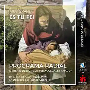 Picture for song 'XX Domingo del tiempo ordinario, 20 de agosto' by artist 'Producciones Vandor'
