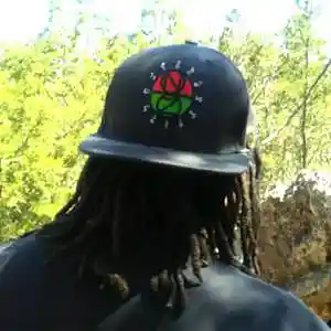Picture for song 'Dignified Nappiness - Quazar 9 Reason Feat. Noo' by artist 'Quazar 9 Reason'
