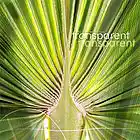 Picture for song 'Becoming transparent' by artist 'Rhythm of Mankind and Nature'